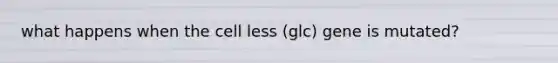 what happens when the cell less (glc) gene is mutated?