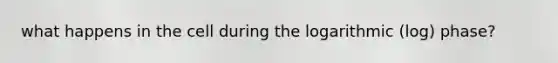 what happens in the cell during the logarithmic (log) phase?