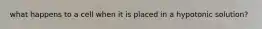 what happens to a cell when it is placed in a hypotonic solution?