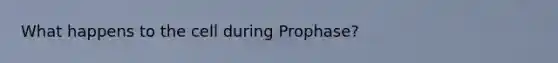 What happens to the cell during Prophase?