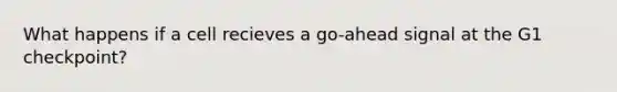 What happens if a cell recieves a go-ahead signal at the G1 checkpoint?