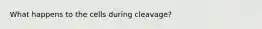 What happens to the cells during cleavage?