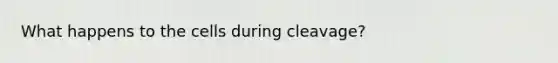 What happens to the cells during cleavage?