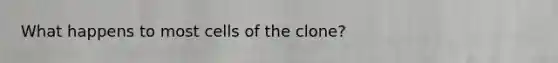 What happens to most cells of the clone?