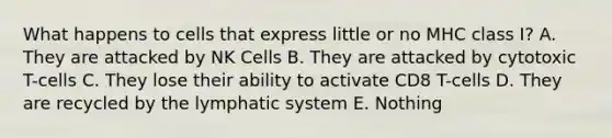 What happens to cells that express little or no MHC class I? A. They are attacked by NK Cells B. They are attacked by cytotoxic T-cells C. They lose their ability to activate CD8 T-cells D. They are recycled by the lymphatic system E. Nothing