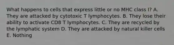 What happens to cells that express little or no MHC class I? A. They are attacked by cytotoxic T lymphocytes. B. They lose their ability to activate CD8 T lymphocytes. C. They are recycled by the lymphatic system D. They are attacked by natural killer cells E. Nothing