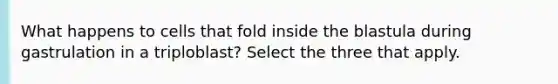 What happens to cells that fold inside the blastula during gastrulation in a triploblast? Select the three that apply.