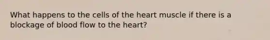 What happens to the cells of the heart muscle if there is a blockage of blood flow to the heart?