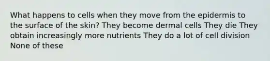 What happens to cells when they move from the epidermis to the surface of the skin? They become dermal cells They die They obtain increasingly more nutrients They do a lot of cell division None of these