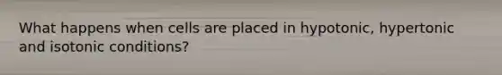 What happens when cells are placed in hypotonic, hypertonic and isotonic conditions?