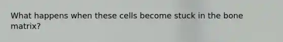 What happens when these cells become stuck in the bone matrix?