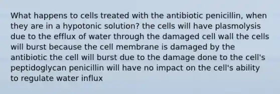 What happens to cells treated with the antibiotic penicillin, when they are in a hypotonic solution? the cells will have plasmolysis due to the efflux of water through the damaged cell wall the cells will burst because the cell membrane is damaged by the antibiotic the cell will burst due to the damage done to the cell's peptidoglycan penicillin will have no impact on the cell's ability to regulate water influx