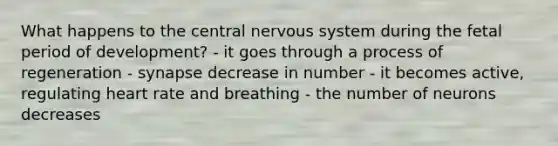 What happens to the central nervous system during the fetal period of development? - it goes through a process of regeneration - synapse decrease in number - it becomes active, regulating heart rate and breathing - the number of neurons decreases