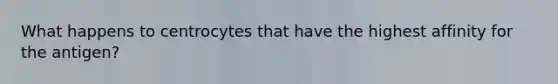 What happens to centrocytes that have the highest affinity for the antigen?