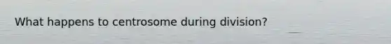 What happens to centrosome during division?
