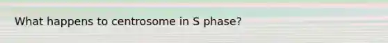 What happens to centrosome in S phase?