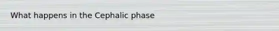 What happens in the Cephalic phase