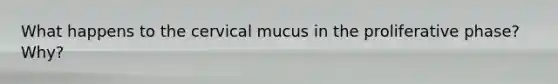 What happens to the cervical mucus in the proliferative phase? Why?