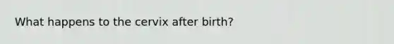 What happens to the cervix after birth?