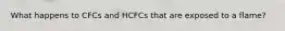 What happens to CFCs and HCFCs that are exposed to a flame?