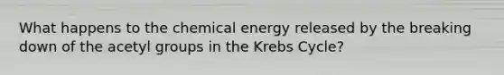 What happens to the chemical energy released by the breaking down of the acetyl groups in the Krebs Cycle?