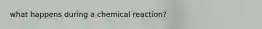 what happens during a chemical reaction?