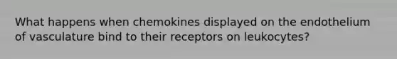 What happens when chemokines displayed on the endothelium of vasculature bind to their receptors on leukocytes?