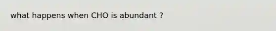what happens when CHO is abundant ?