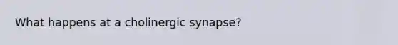 What happens at a cholinergic synapse?