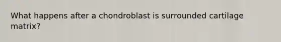 What happens after a chondroblast is surrounded cartilage matrix?