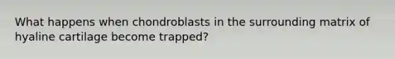 What happens when chondroblasts in the surrounding matrix of hyaline cartilage become trapped?