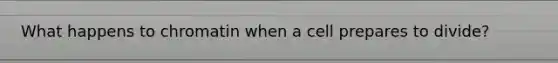 What happens to chromatin when a cell prepares to divide?