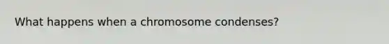 What happens when a chromosome condenses?