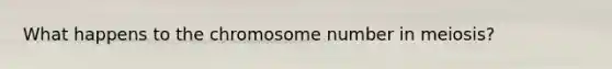 What happens to the chromosome number in meiosis?