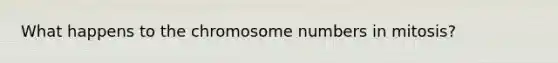 What happens to the chromosome numbers in mitosis?