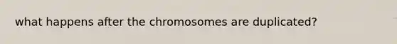 what happens after the chromosomes are duplicated?