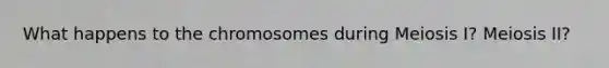 What happens to the chromosomes during Meiosis I? Meiosis II?