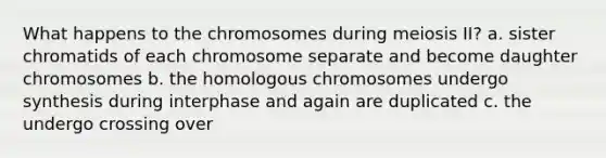 What happens to the chromosomes during meiosis II? a. sister chromatids of each chromosome separate and become daughter chromosomes b. the homologous chromosomes undergo synthesis during interphase and again are duplicated c. the undergo crossing over