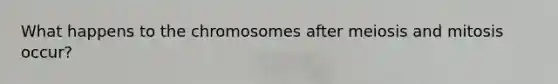 What happens to the chromosomes after meiosis and mitosis occur?