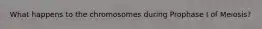 What happens to the chromosomes during Prophase I of Meiosis?