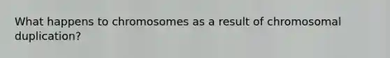 What happens to chromosomes as a result of chromosomal duplication?