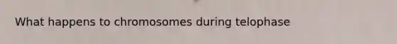 What happens to chromosomes during telophase