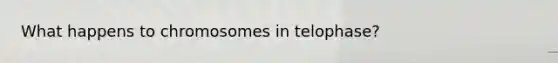 What happens to chromosomes in telophase?