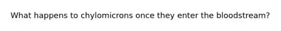 What happens to chylomicrons once they enter the bloodstream?
