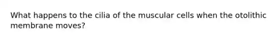 What happens to the cilia of the muscular cells when the otolithic membrane moves?