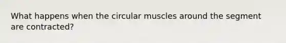 What happens when the circular muscles around the segment are contracted?