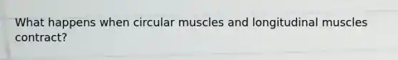 What happens when circular muscles and longitudinal muscles contract?