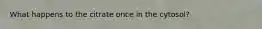 What happens to the citrate once in the cytosol?