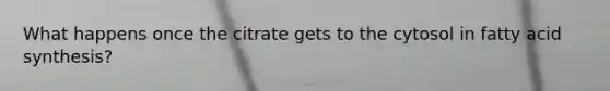 What happens once the citrate gets to the cytosol in fatty acid synthesis?