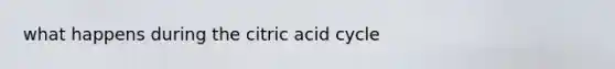 what happens during the citric acid cycle